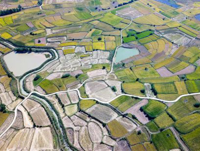 С���壺�_���r(n��ng)��ĸ��Ļ