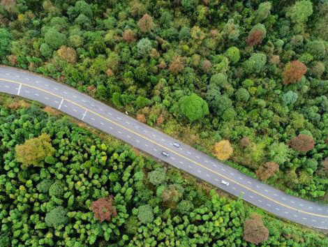 �ľ���ɽ�����Ї��ĸ��_��40��