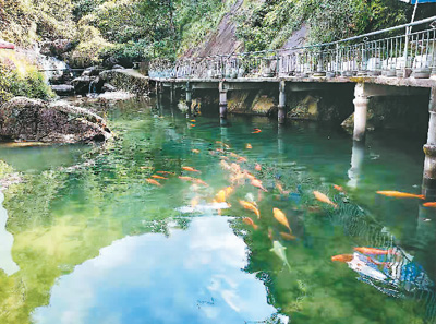 �S�l(xi��ng)���F(xi��n)�壺�@�����Ӳ�һ����