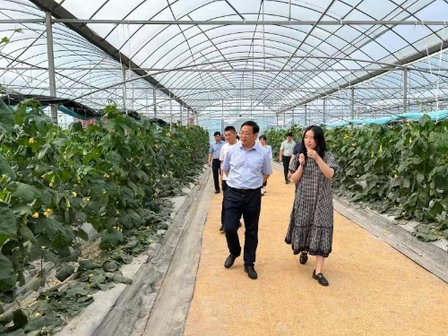 WechatIMG5451_����